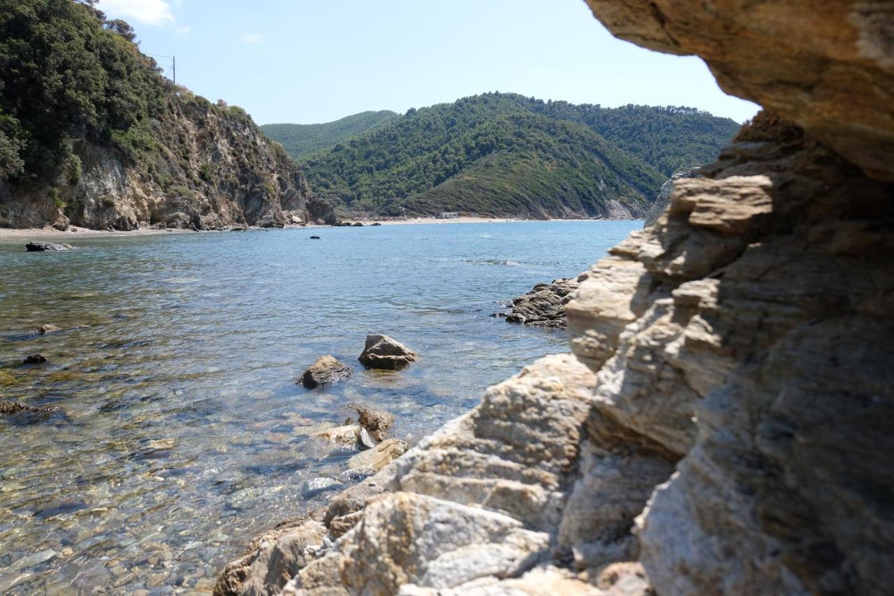Apartment Taxiarchis Skiathos Town